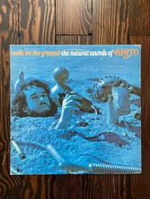 Airto Seeds on the Ground Original Pressing 1970 Buddah Records VG+ picture