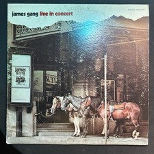 James Gang - Live In Concert picture