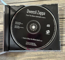 Vintage 2000 Dweezil Zappa from the album Automatic CD Promo Promotional picture