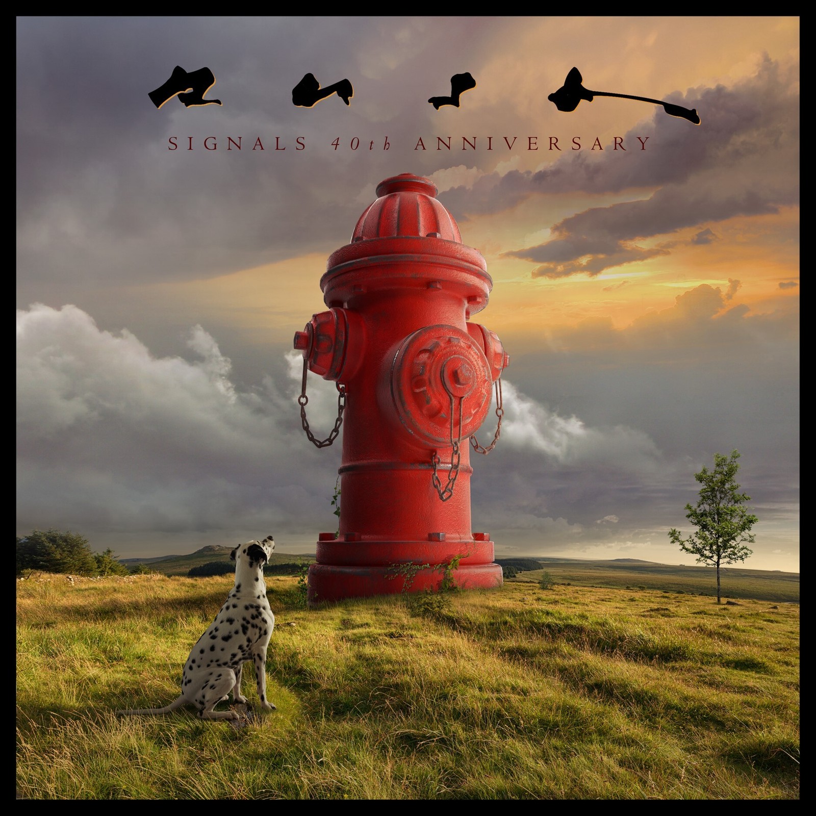 Rush Signals (Vinyl) 40th Anniversary  12\