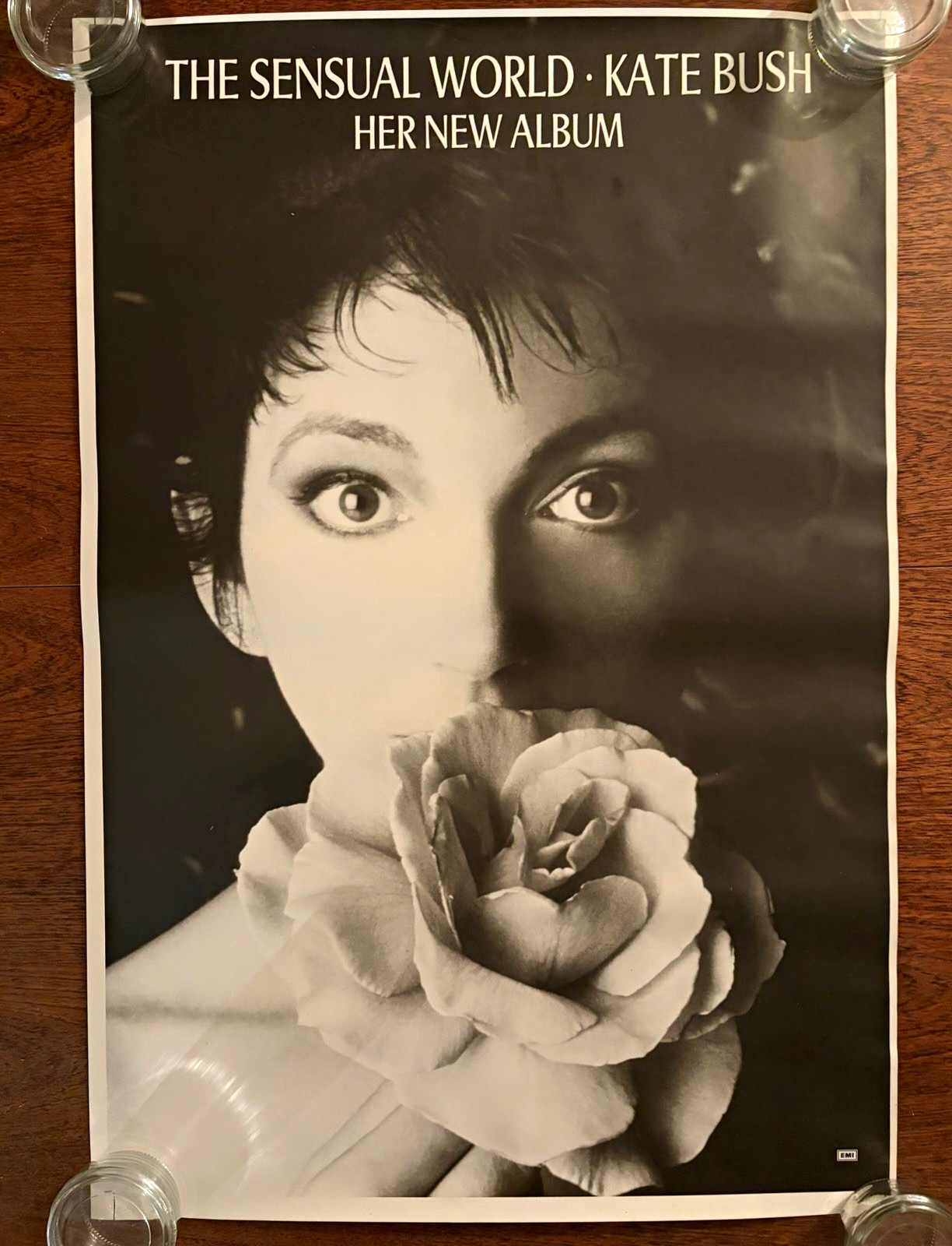 RARE* Kate Bush The Sensual World 1989 UK Album Promo Poster EMI Record Company