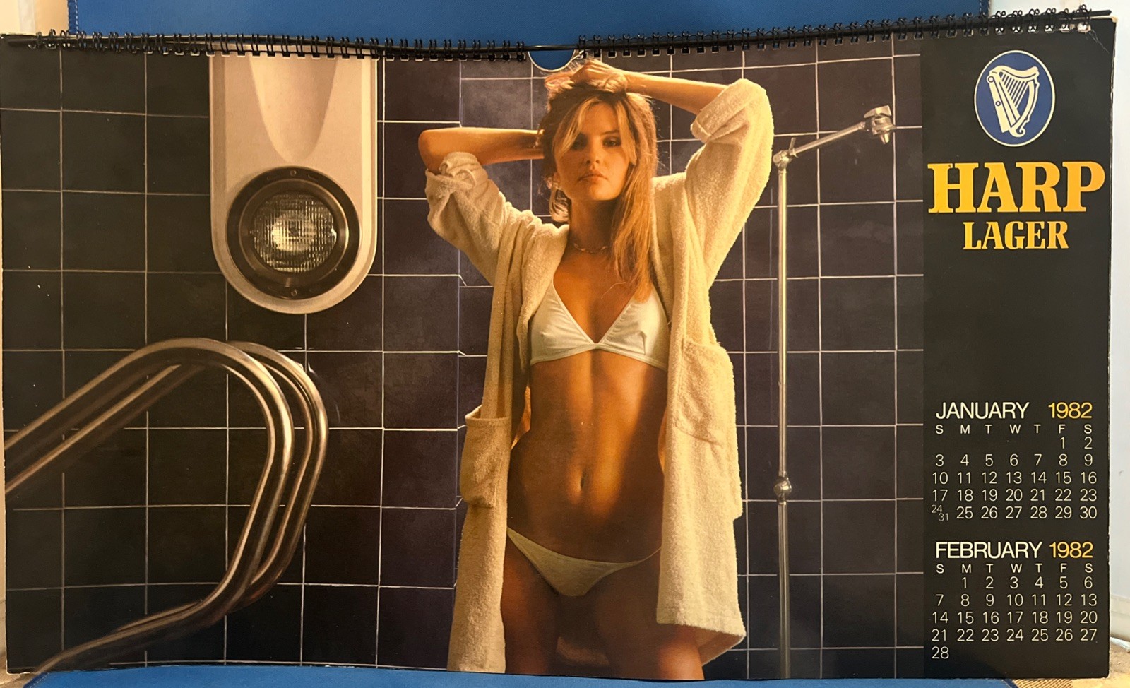 Vintage 1982 Harp Lager Beer Pinup Girl Wall Calendar RARE - Works For 2027