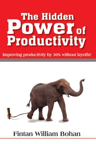 The Hidden Power of Productivity: Improving Pro, Bohan..