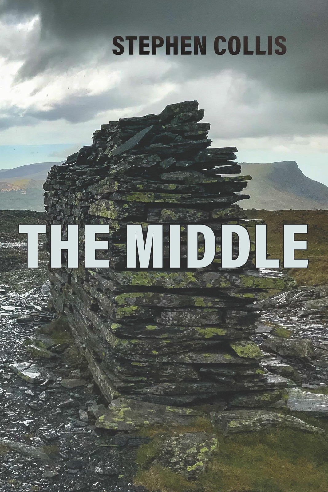 			The Middle by Collis  New 9781772016420 Fast ..		