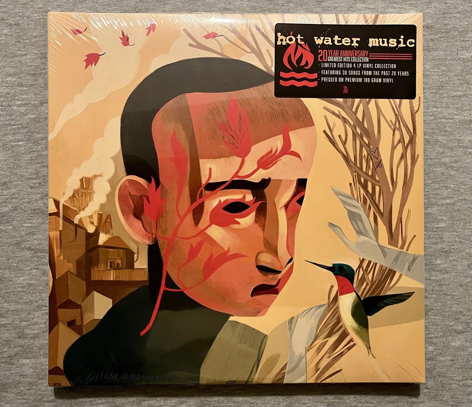 Hot Water Music - 20th Anniversary Collection Limited Starburst Vinyl 4xLP Rock