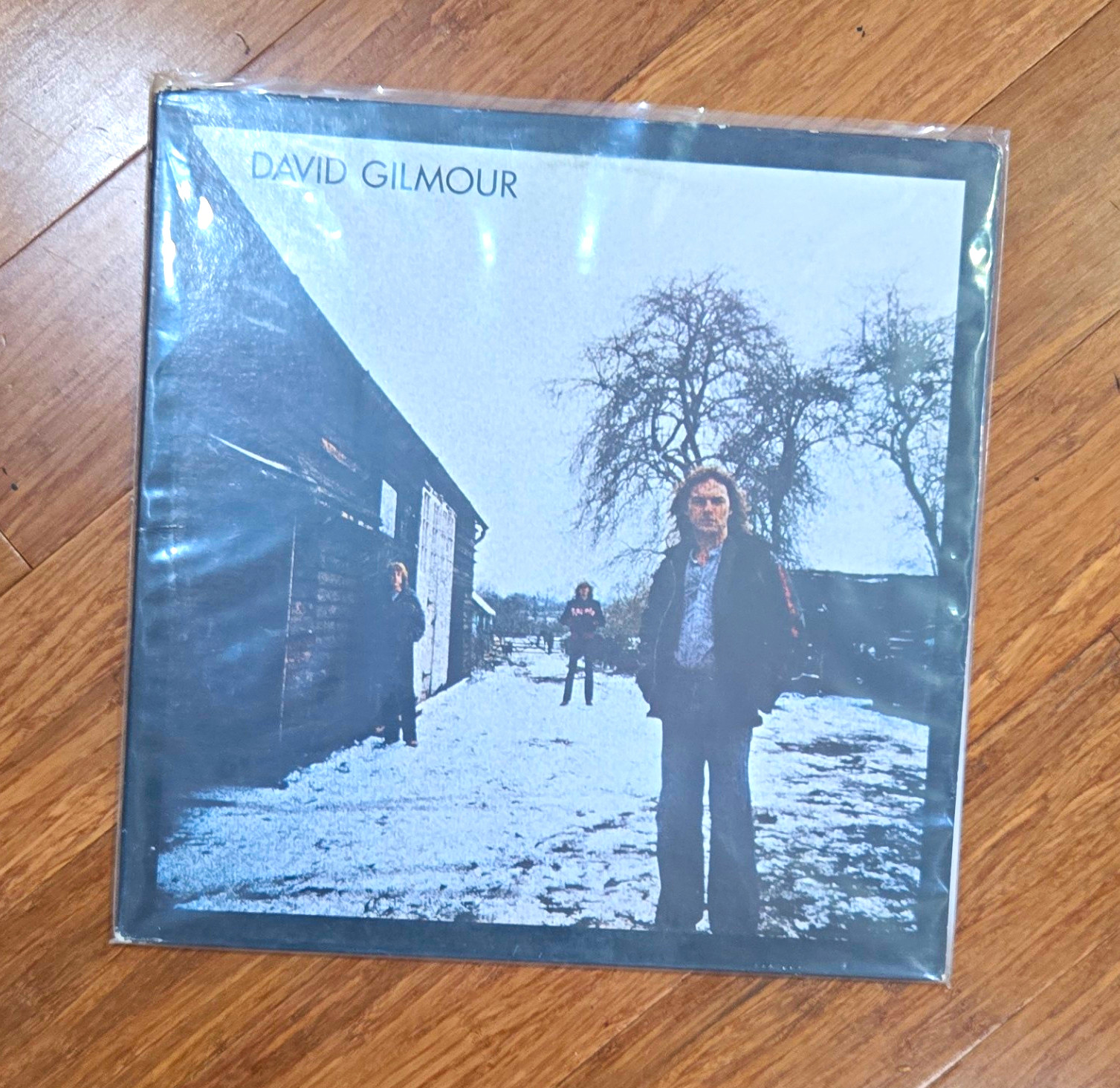 David Gilmour - David Gilmour, Columbia 1978 12\