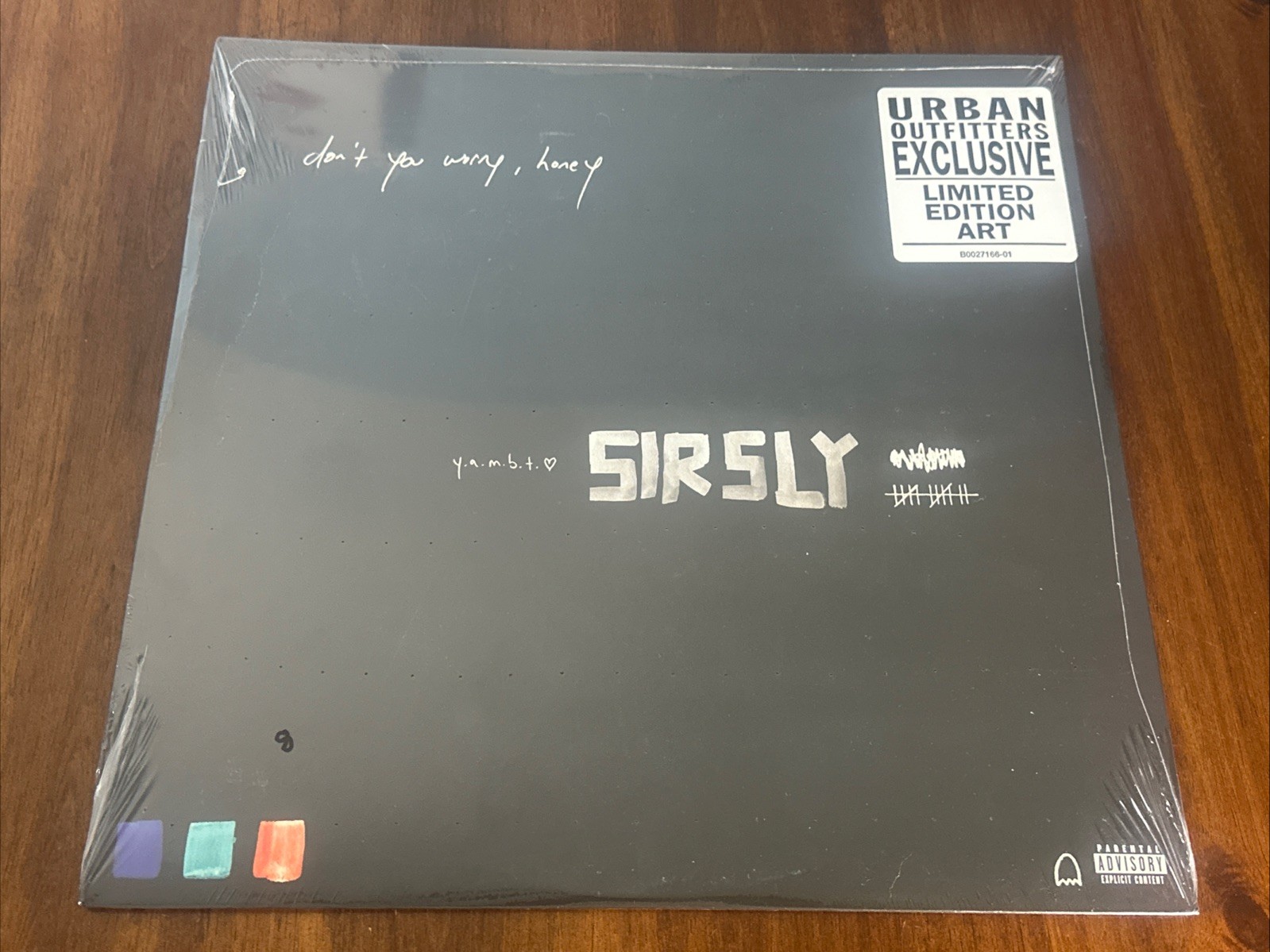Dont You Worry Honey By Sir Sly (Vinyl, 2017) UO Limited Edition Black Cover