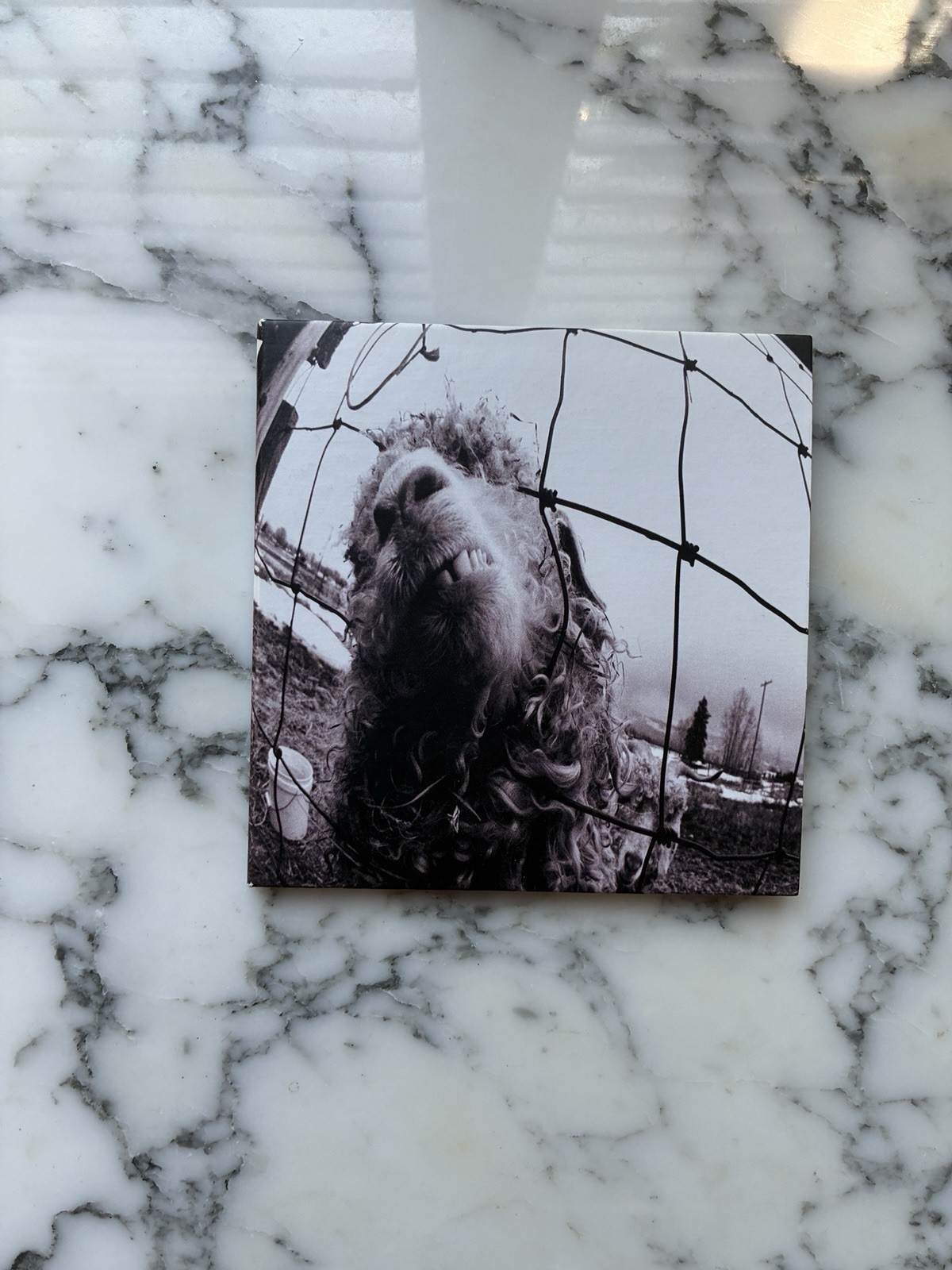 Pearl Jam - Vs. - Deluxe Expanded Edition - Excellent Condition