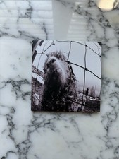 Pearl Jam - Vs. - Deluxe Expanded Edition - Excellent Condition picture