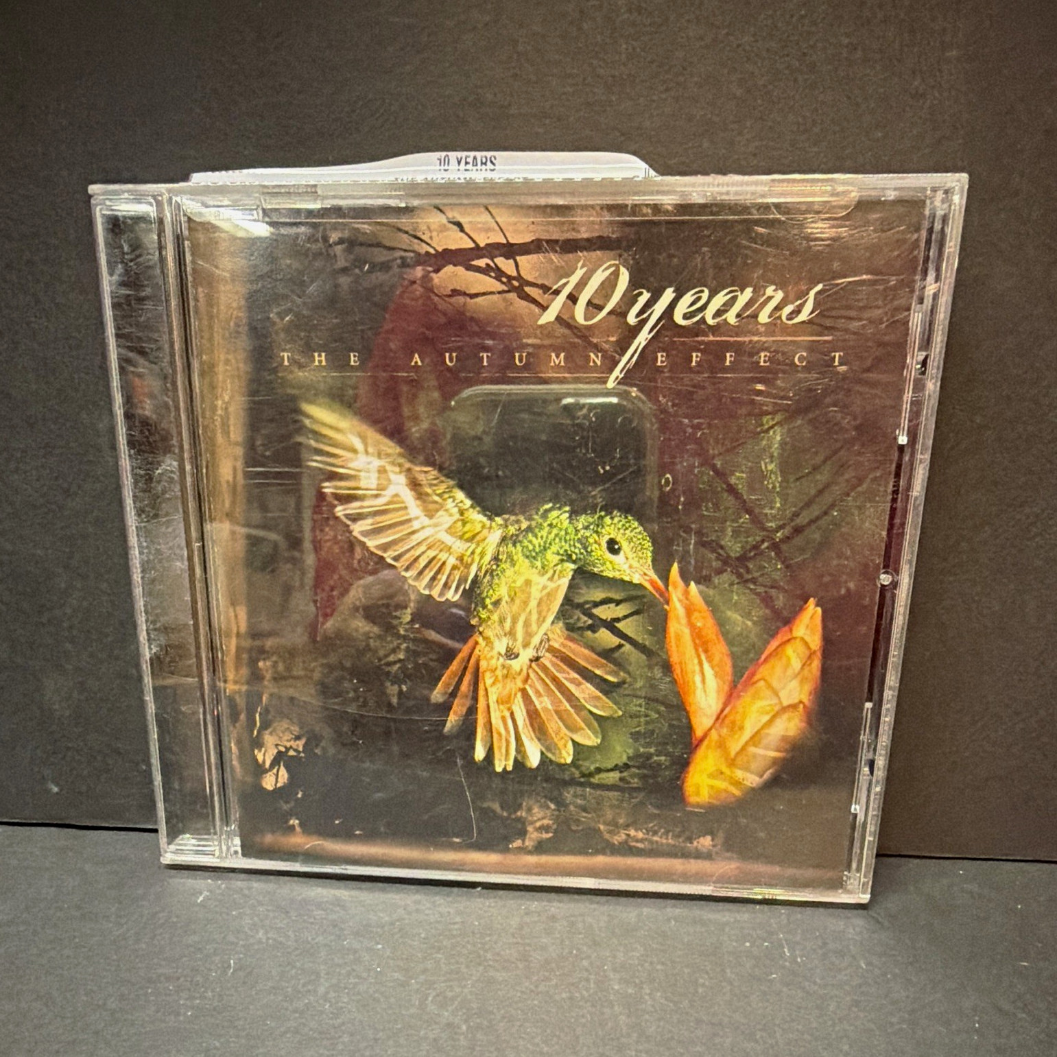 10 Years The Autumn Effect CD 2005 Republic/Universal Rock Album Jewel Case