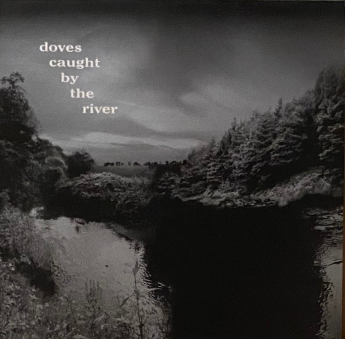DOVES CAUGHT BY THE RIVER  10\