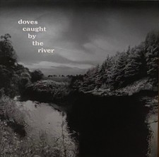DOVES CAUGHT BY THE RIVER  10