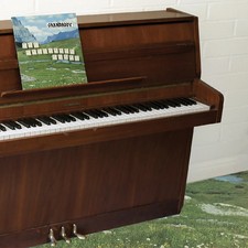 Grandaddy - Sophtware Slump On A Wooden Piano [Eco Mix] - Vinyl Record picture