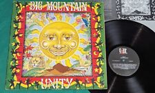 Big Mountain - Unity Brazil 1st press LP 1994 Giant / BMG Baby I Love Your Way picture