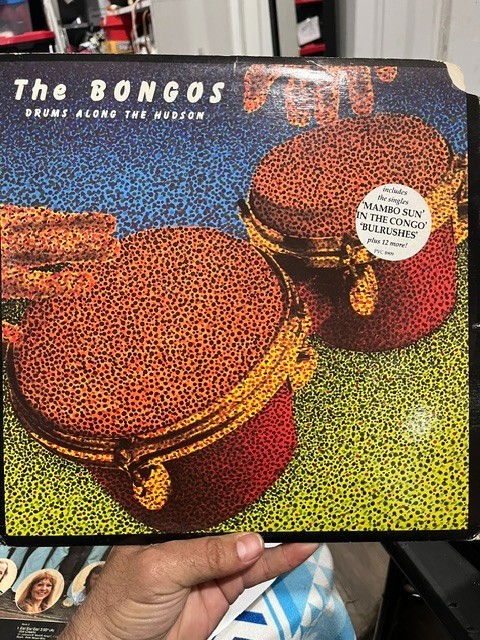 the bongos srums along the hudson 12