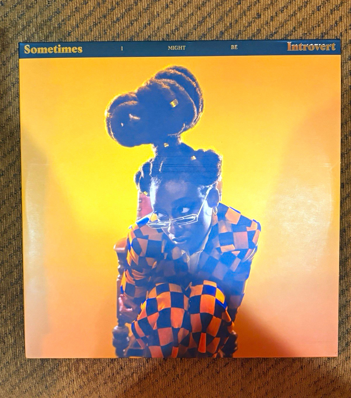 Little Simz - Sometimes I Might Be Introvert 12