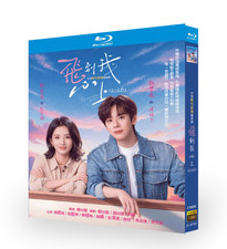 Chinese TV Drama Flying to My Heart Blu ray Disc Miles Wei Sally picture