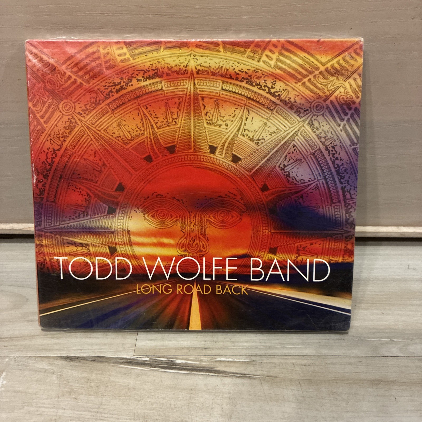 NEW Long Road Back ~ Todd Wolfe Band CD