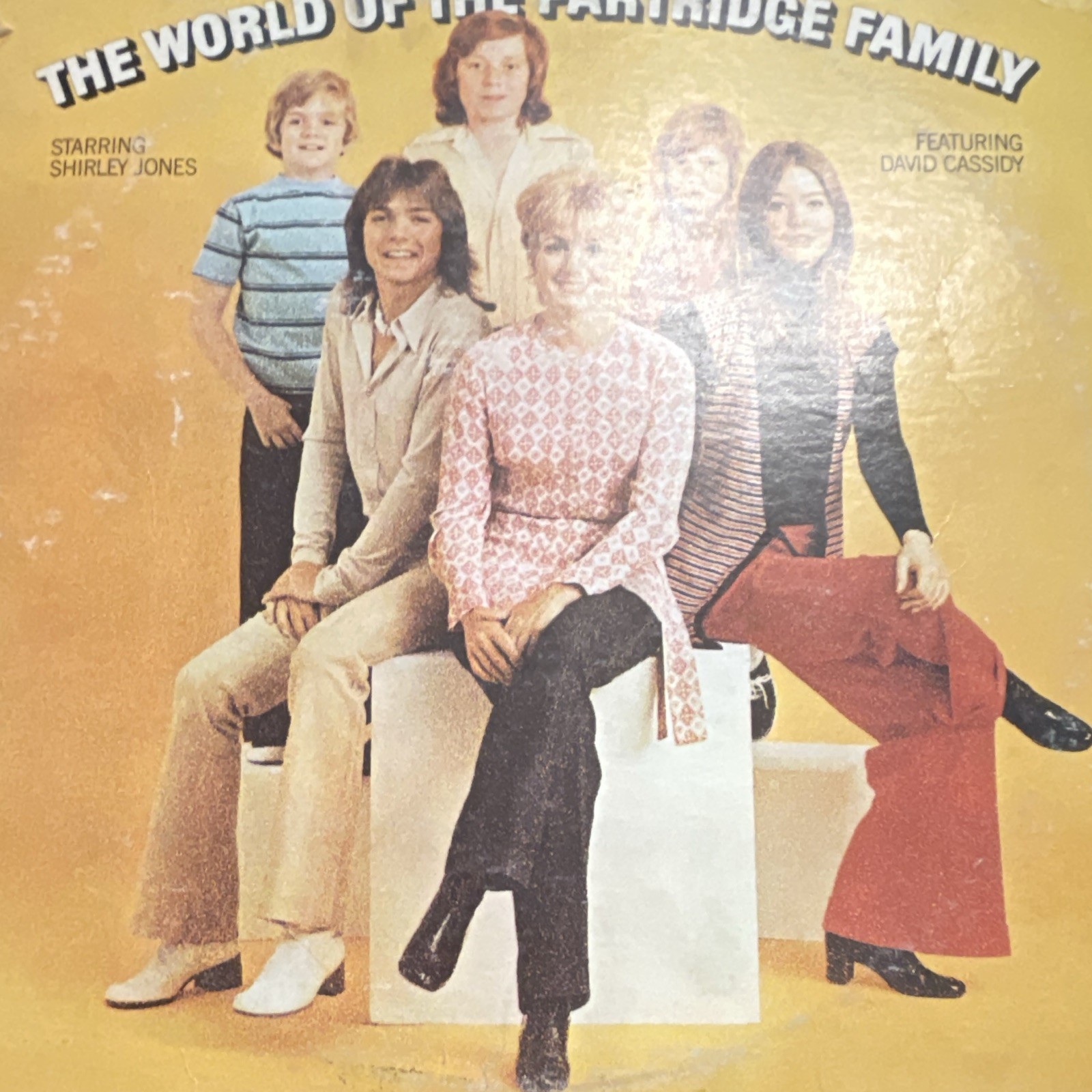The Partridge Family The World Of The Partridge Family 12