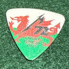Guitar Pick / Metallica / World Tour 72 Seasons / Wales / June 2026 picture