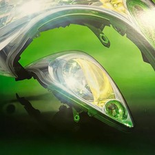 ML Buch - Skinned (LP) picture