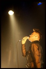 Morrissey Brielpoort Deinze Belgium 30th April 1991 Music Old Photo picture
