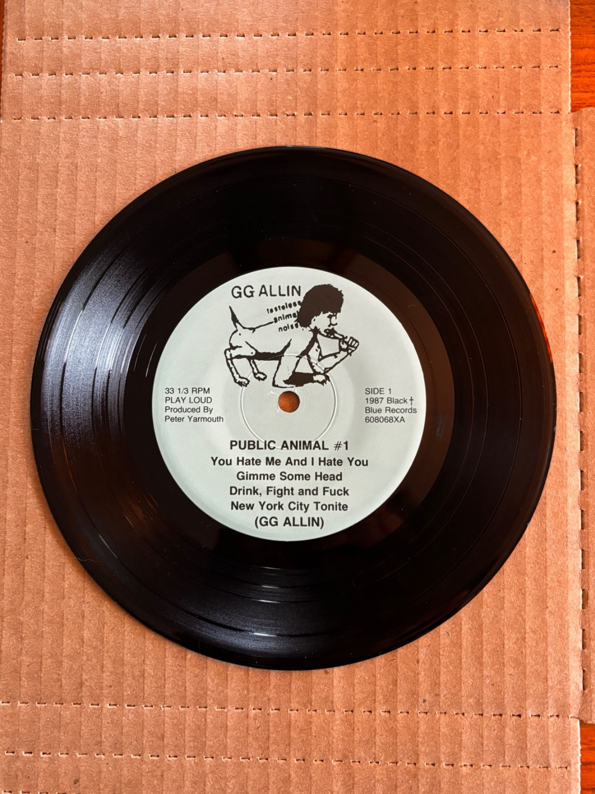 Vintage 1987 GG Allin Public Animal #1 Vinyl 7