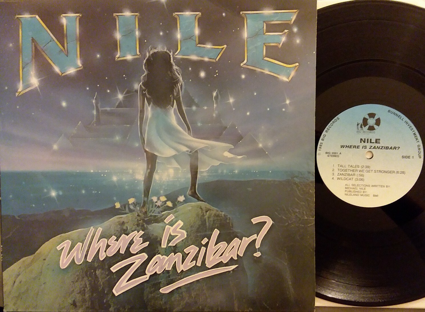 Nile: Where in Zanzibar? LP Vinyl Record RARE (PROMO?) BIG 2001 GD+ png