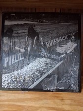 PUBLIC NUISANCE 'Gotta Survive LP Vinyl  picture