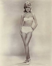 Shelly Fabares Poses For A Studio Portrait C 1962 Old Music Photo picture