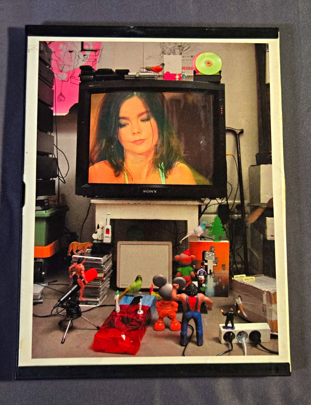 Bjork MTV Unplugged & Live DVD 2002 Rare OOP Concert 1994 1998 Elektra