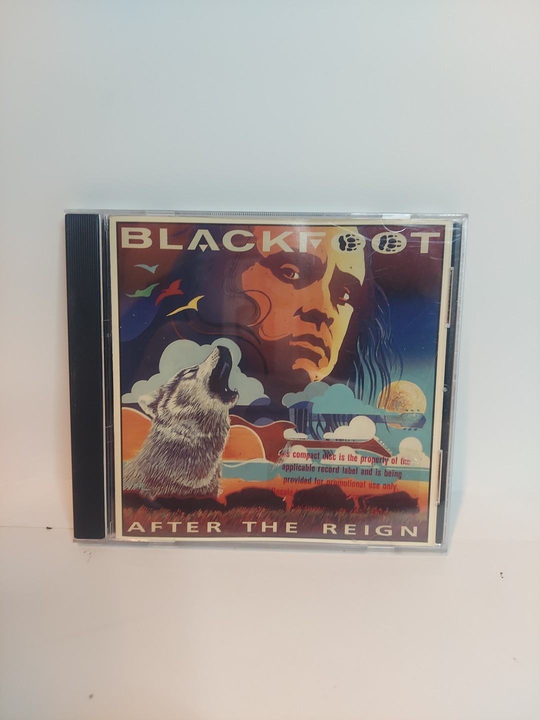 After the Reign by Blackfoot (CD, 1994) - Excellent Condition - Fast Shipping