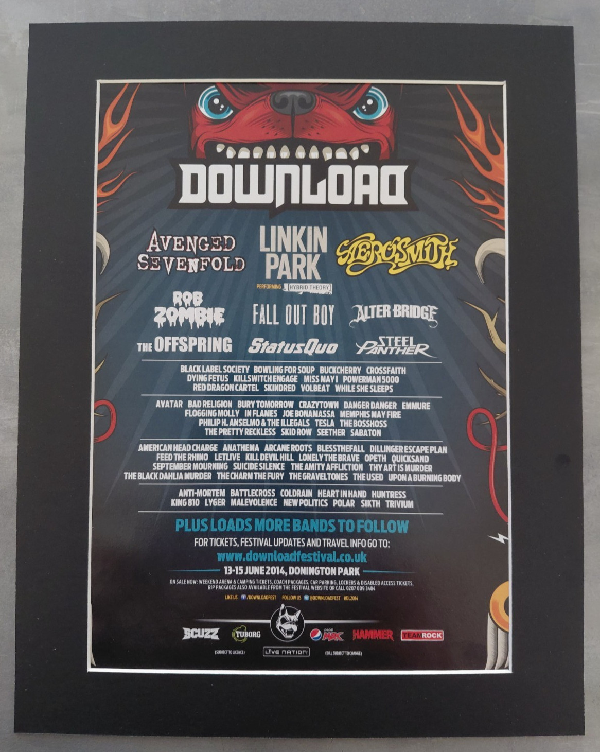 Download Festival 2014 Promo Original Festival Advert Mounted 14x11\