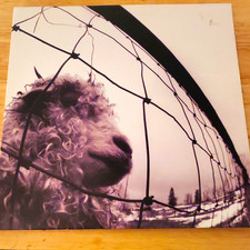 Pearl Jam Vs. Original Pressing Associated Z 53136 12