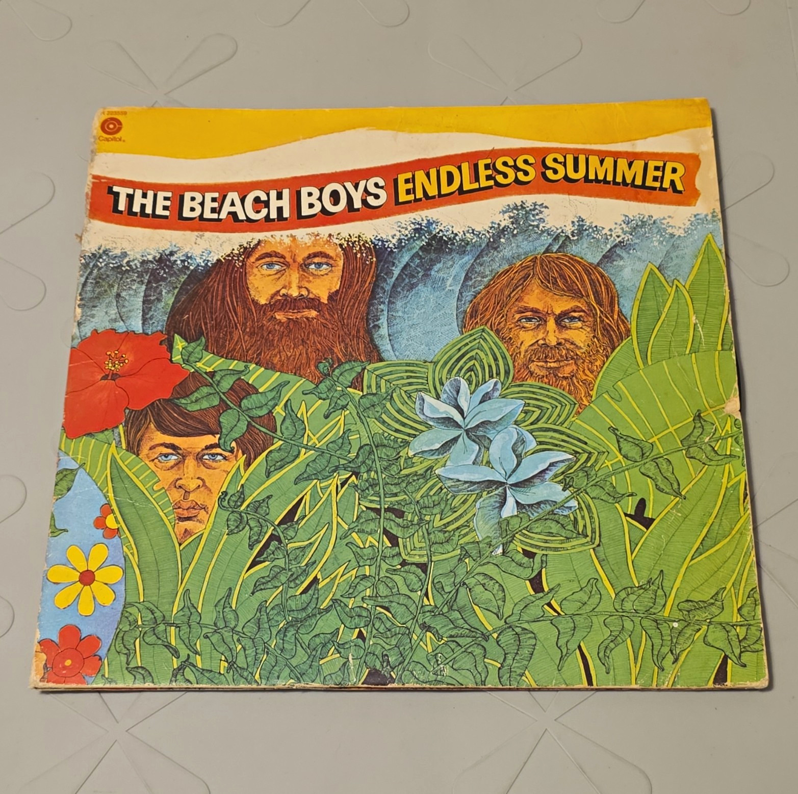 The Beach Boys Endless Summer Capitol 12\