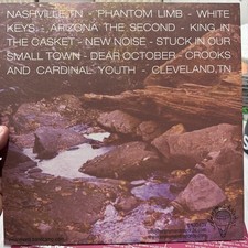 Lions – MTNZ Vinyl Record / Limited to 200/ 2012 Rare Midwest Emo - Purple Splat picture