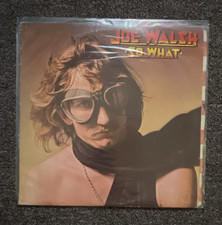 Joe Walsh So What 12