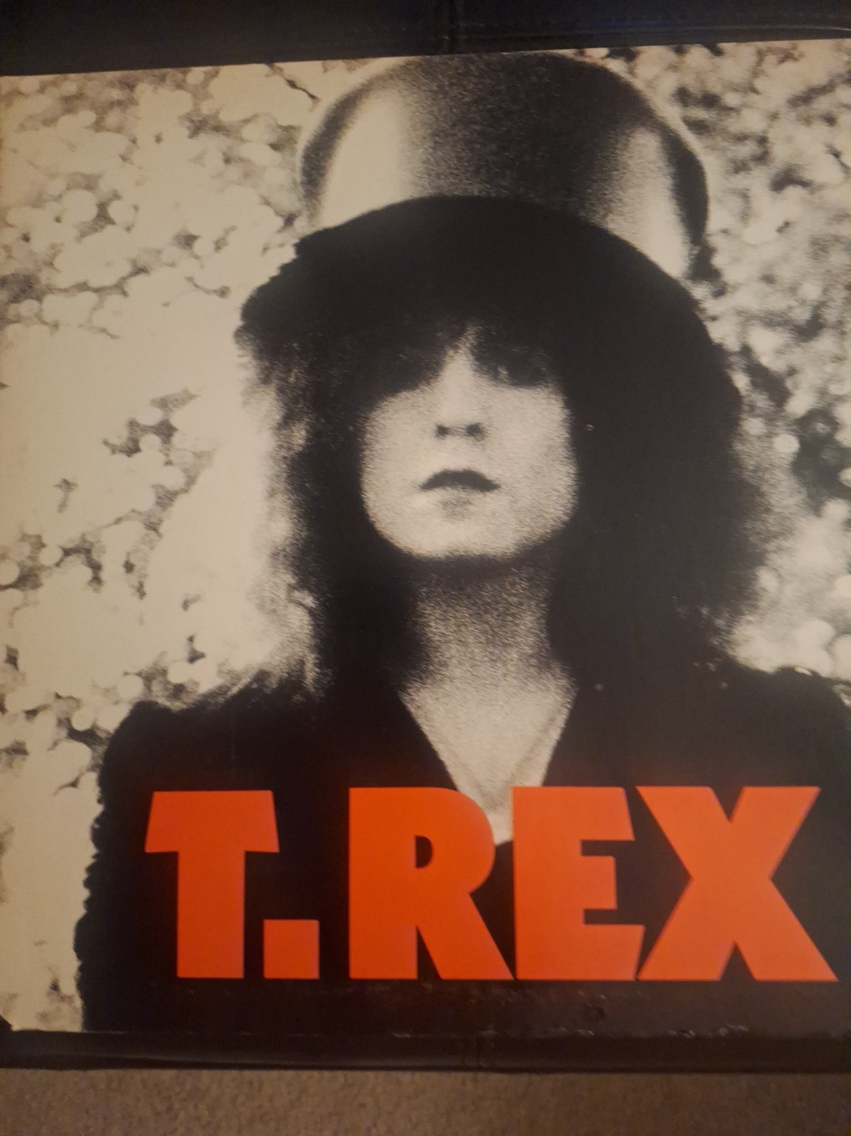 Vintage T Rex  The Slider Vinyl Album