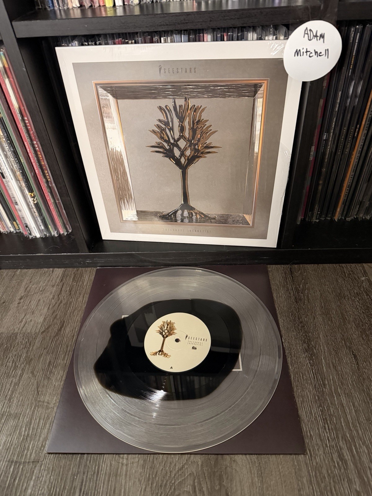 I See Stars Treehouse Acoustic Clear and Black Vinyl LP Record
