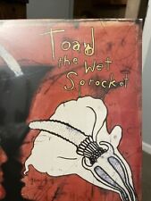 Toad the Wet Sprocket - Dulcinea Vinyl LP 180g New - 2024 I’m A Fan 🐿️ 🐸 picture