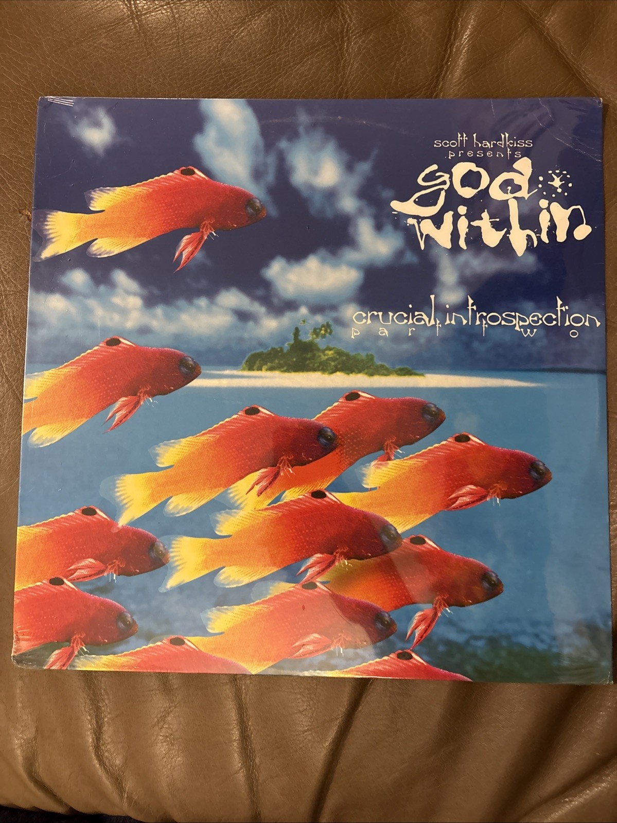 Scott Hardkiss Presents God Within Crucial Introspection Part Two New Sealed