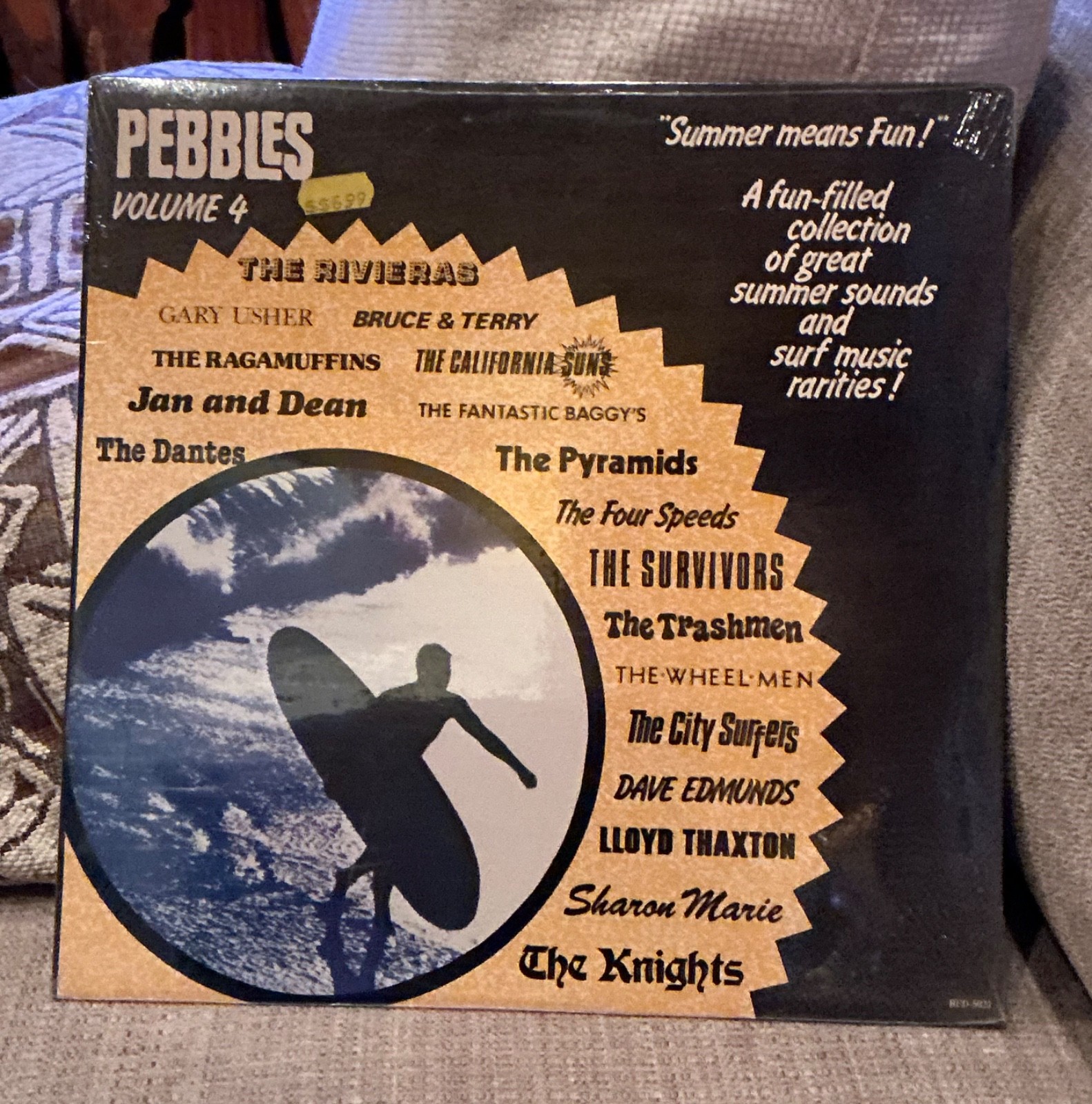 VARIOUS Pebbles Vol. 4: Summer Means Fun 1979 Vinyl LP ~Vinyl BFD-5021 ~SEALED