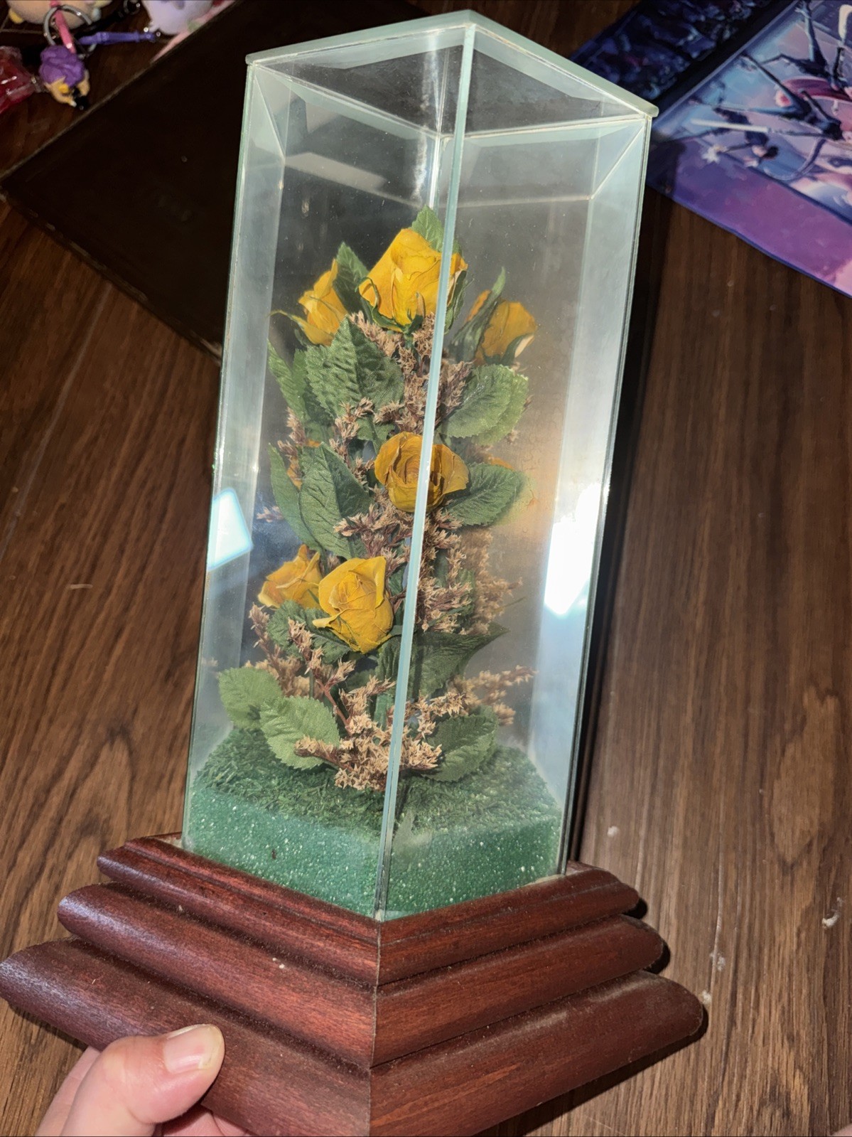 Vintage Chesterseal Lifesake Flowers Real Red Roses Glass & Wood Music Box