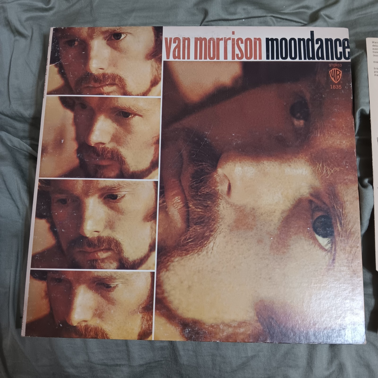 Van Morrison Moondance Vinyl LP VG