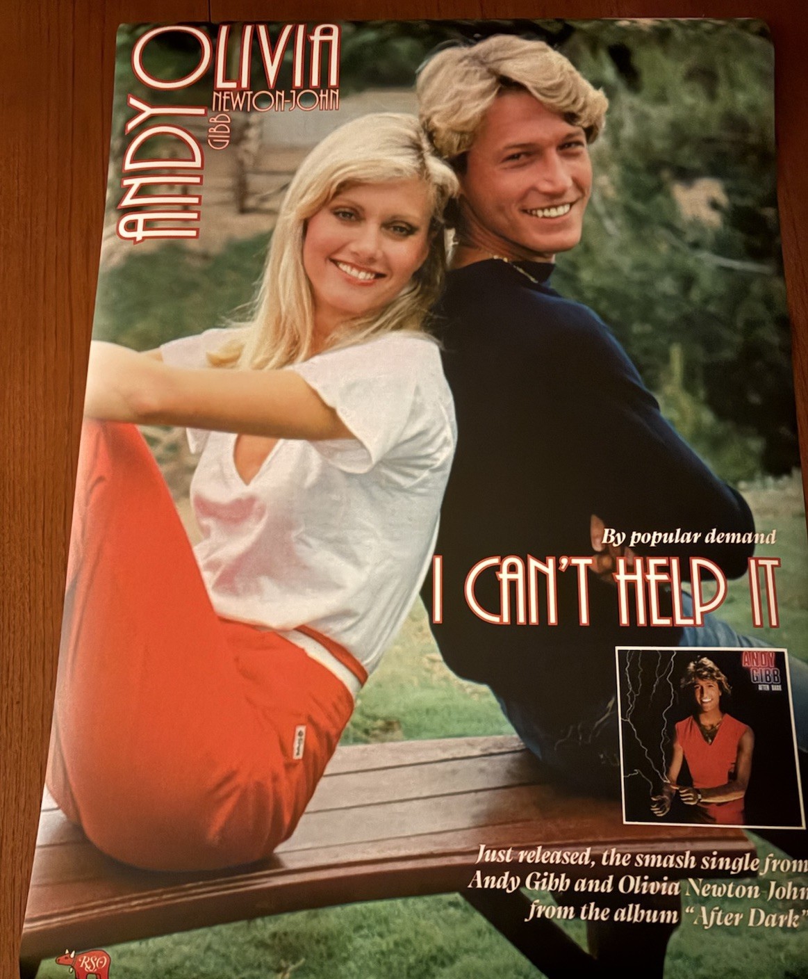 Olivia Newton-John Andy Gibb promo poster  19.6 x 27.5 inch