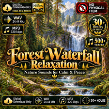 500 Tracks Relaxation Music, Nature Sounds, for Meditation, Digital Download picture