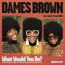 Dames Brown featuring Andrés & Amp Fiddler - What Would You Do? (Remixes) picture