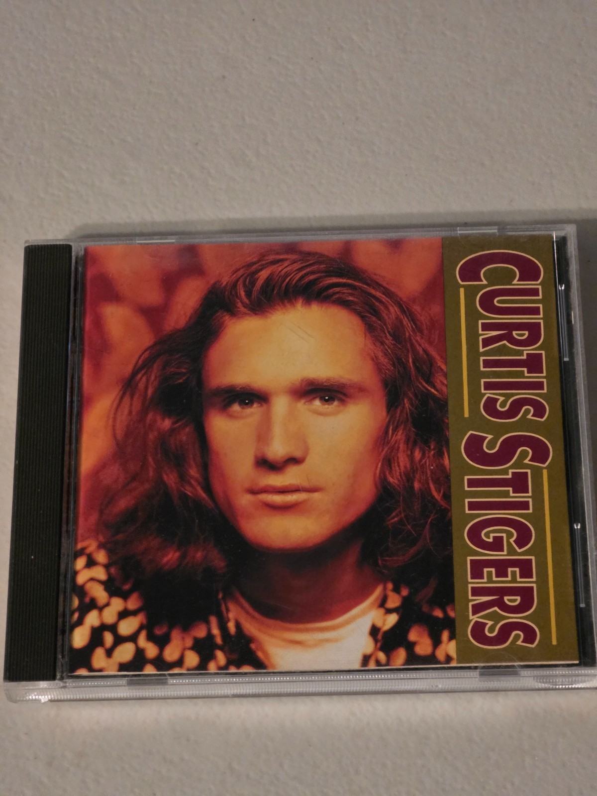 TESTED Curtis Stigers Self Titled CD 1991 Arista I Wonder Why Debut Pop Soul 90s
