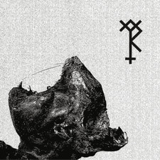 Trepaneringsritualen & Nordvargr Konung Krönt I Blod/Salve Teragmon (Vinyl) picture
