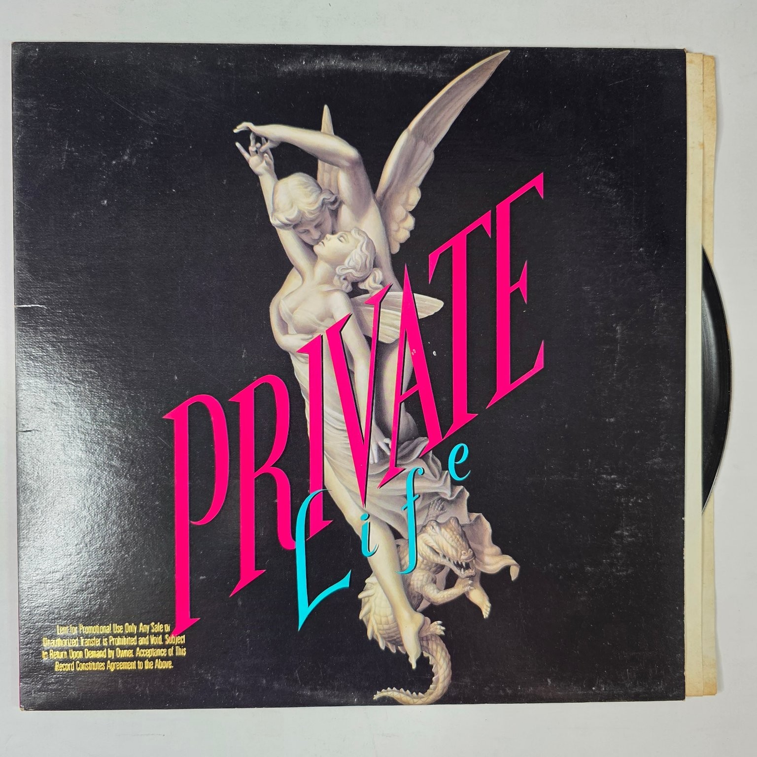 Private Life Self-titled LP Record 1990 Promo Warner Bros. Rock 33 RPM